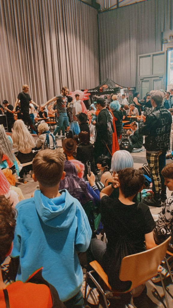 comic con freiburg 快樂的人群